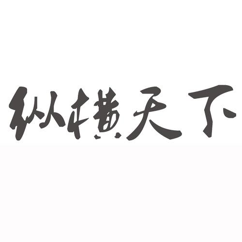 福建纵横天下网络科技